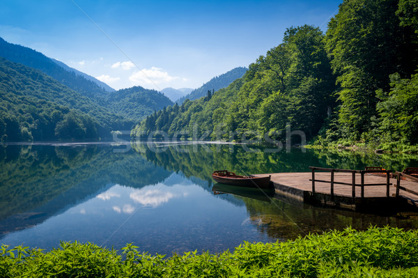 Biogradska gora national park landscape Stock photo © Steffus