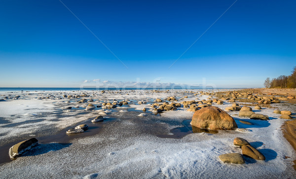 Icy shore landscape Stock photo © Steffus