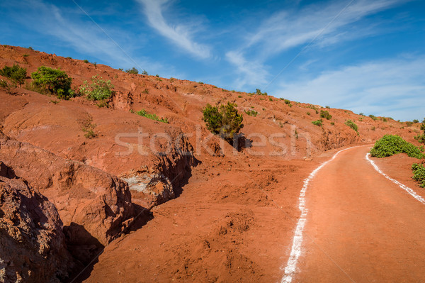 Red vulcanic fields. La Gomera island. Stock photo © Steffus