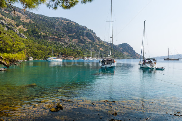 Sailing yachts anchorage Stock photo © Steffus