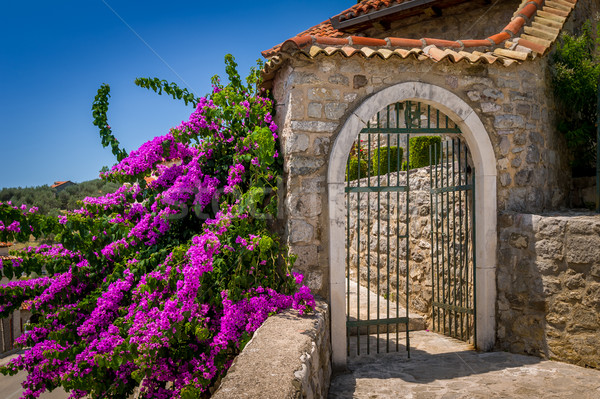 Velho estilo pedra portão ensolarado verão Foto stock © Steffus