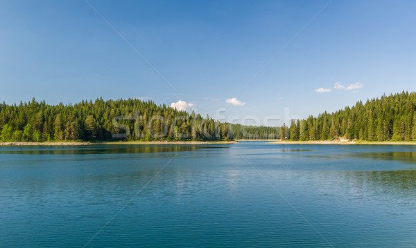 Beautiful lake with islands covered by thick coniferous forests Stock photo © Steffus