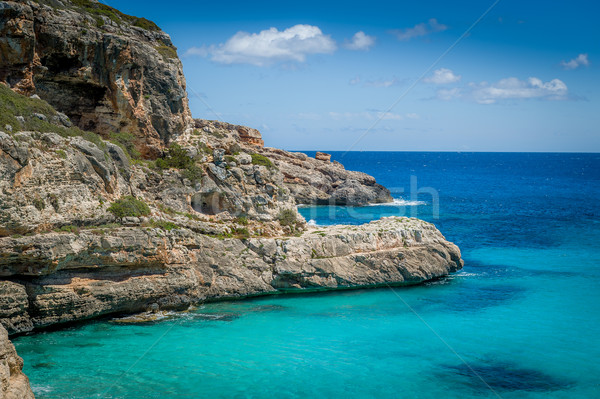 Ibiza rocky coast Stock photo © Steffus
