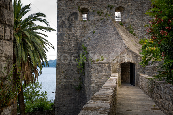 Forte Mare ancient fortress secretive entrance Stock photo © Steffus