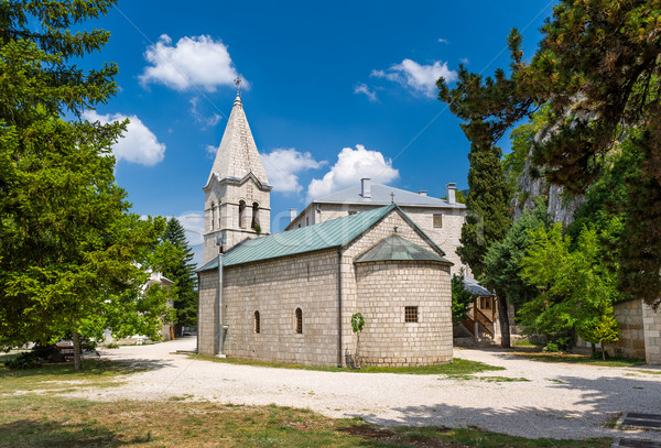The Ostrog Donji Monastery tower Stock photo © Steffus