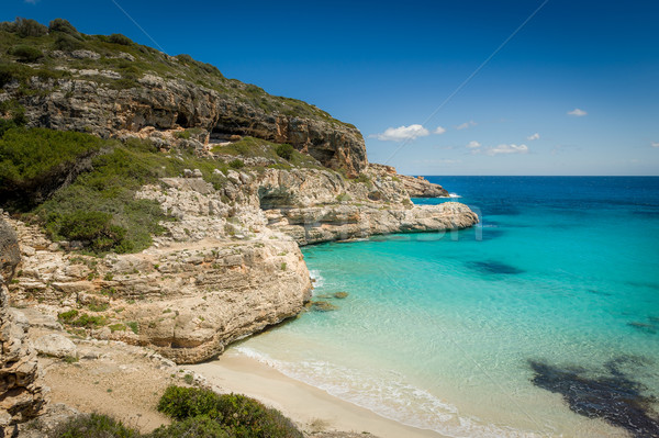 Ibiza wild sand beach Stock photo © Steffus