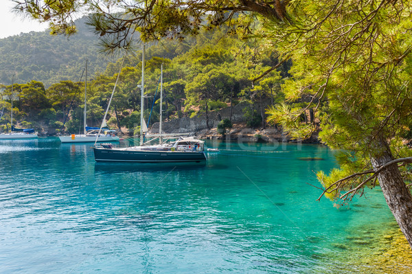 Sailing yacht at calm bay Stock photo © Steffus