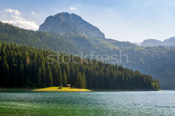 Black Lake shore, national park Durmitor, Montenegro Stock photo © Steffus