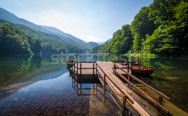Lago água reflexões floresta hills Foto stock © Steffus