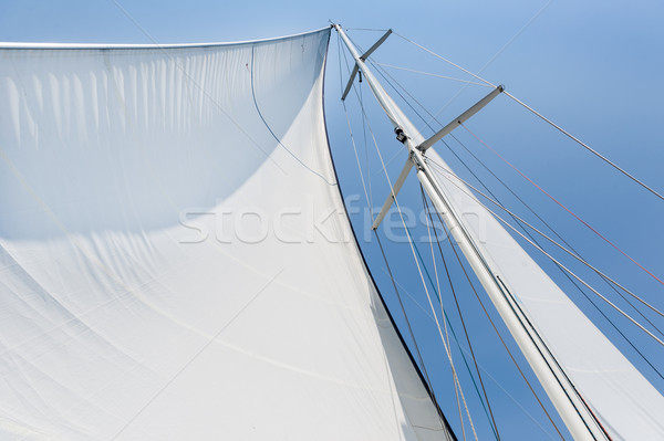 Big white sail hoisted Stock photo © Steffus