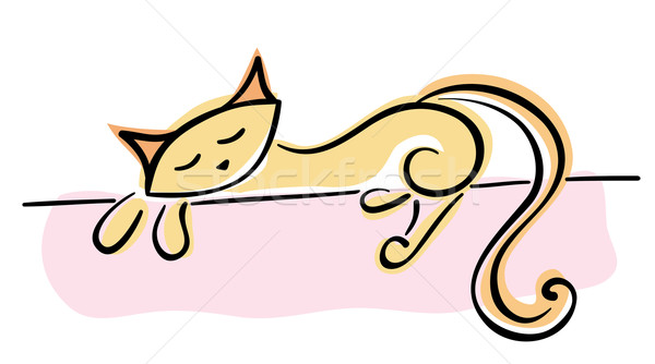 Stock photo: Cat for your design