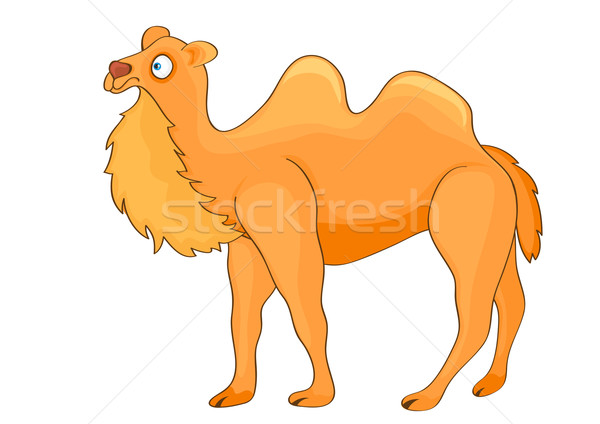 Cartoon Camel. Stock photo © Stellis