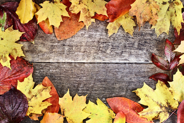Rustic Autumn Leaves Background Stock photo © StephanieFrey