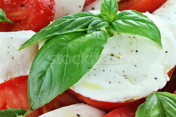 Caprese salade extreme vers bereid heerlijk Stockfoto © StephanieFrey