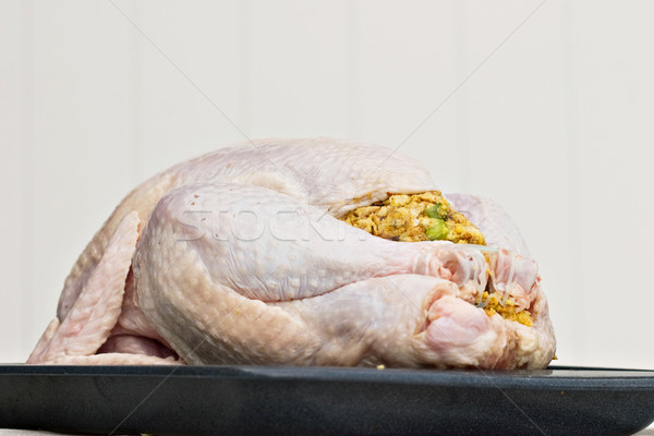 Thanksgiving Turkey Stock photo © StephanieFrey