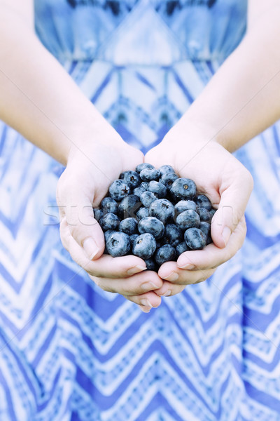 女子 手 提供 藍莓 新鮮 淺 商業照片 © StephanieFrey