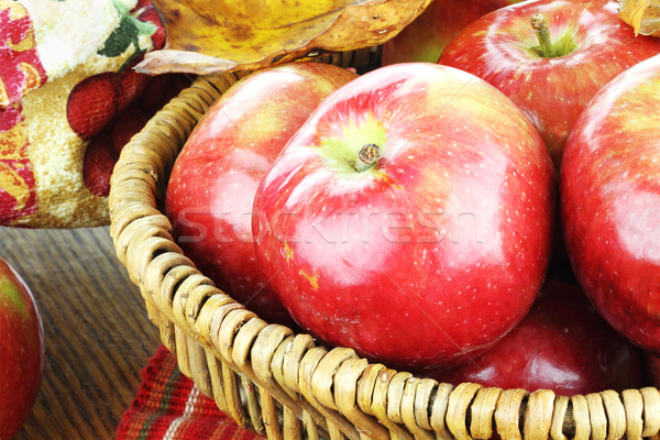 Stock photo: Freshly Picked Apples 