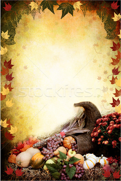 Thanksgiving Cornucopia  Stock photo © StephanieFrey