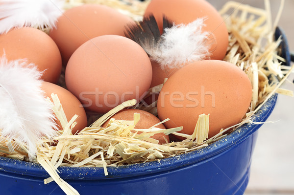 Fresh farm eggs Stock photo © StephanieFrey