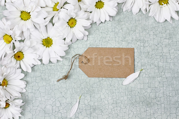 White Daisies and Blank Card Stock photo © StephanieFrey