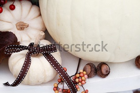 Minature White Pumpkins Stock photo © StephanieFrey