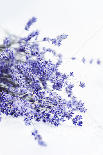 Lavendel groß Schlüssel abstrakten Ansicht getrocknet Stock foto © StephanieFrey