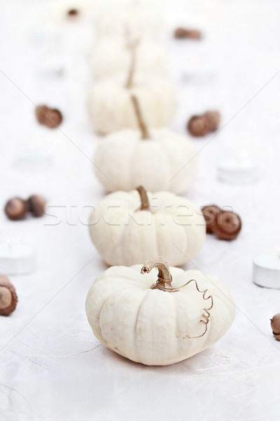 Fehér tökök csetepaté gyönyörű asztal díszítések Stock fotó © StephanieFrey