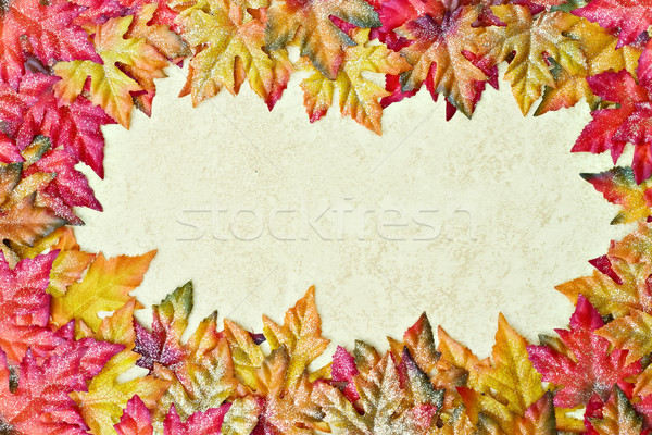 Autumn Frame Stock photo © StephanieFrey