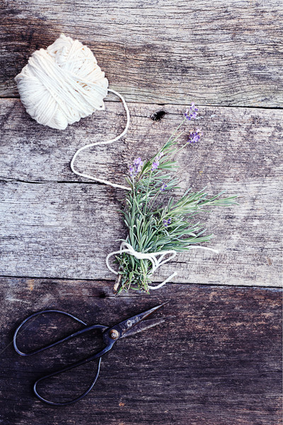 Lavendel frischen geschnitten zusammen antiken Schere Stock foto © StephanieFrey
