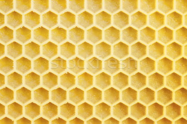 Honeycell Stock photo © StephanieFrey