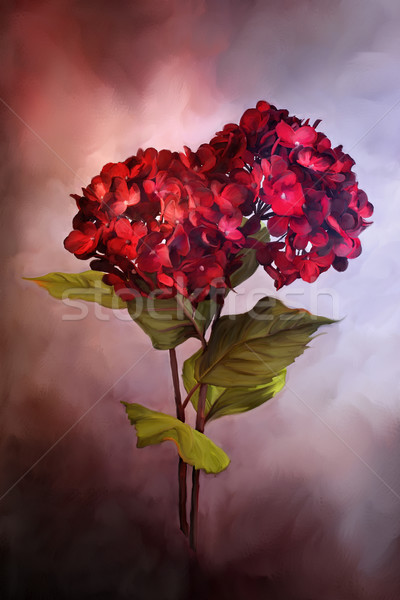 Painted Red Hydrangeas Stock photo © StephanieFrey