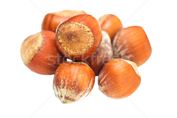 Hazelnuts  Stock photo © StephanieFrey