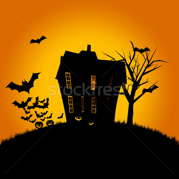 Haunted House Stock photo © StephanieFrey