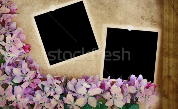 Grunge Floral Background with Blank Photos Stock photo © StephanieFrey