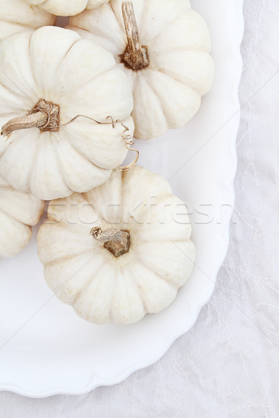 Stockfoto: Miniatuur · witte · pompoenen · mooie · tabel · decoraties