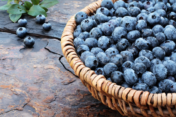 新鮮 藍莓 有機 籃 鄉村 淺 商業照片 © StephanieFrey