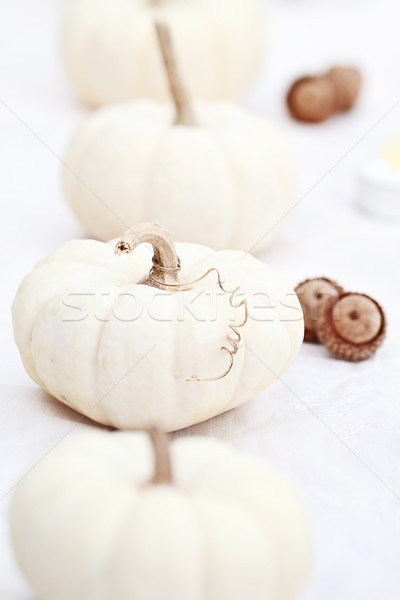 White Pumpkins and Acorns Stock photo © StephanieFrey