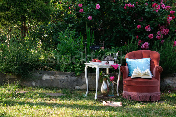 Relaxing in roses garden with a book Stock photo © stickasa