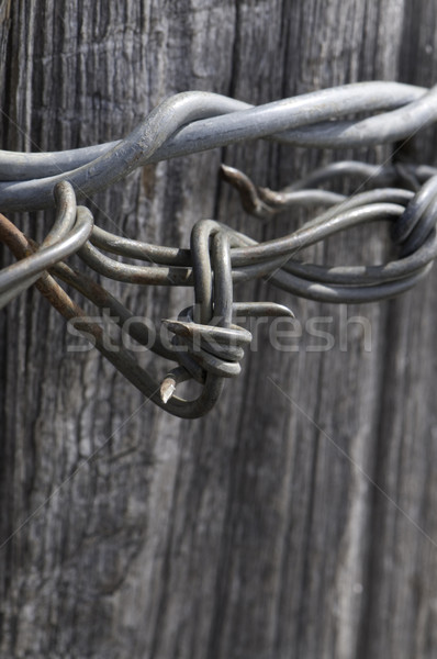 Barbed Wire Stock photo © stockfrank