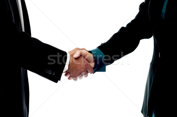Business people handshake Stock photo © stockyimages