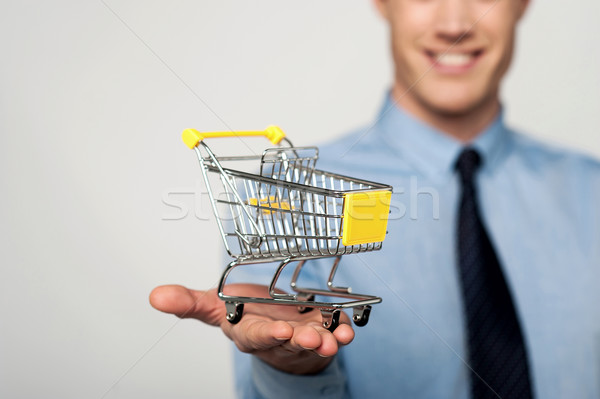 Add to cart, e-commerce concept. Stock photo © stockyimages
