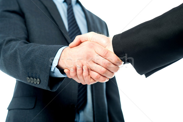 Ludzi biznesu drżenie rąk działalności handshake ręce spotkanie Zdjęcia stock © stockyimages
