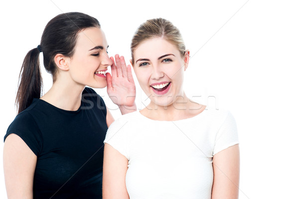 Young girls gossiping and having fun Stock photo © stockyimages