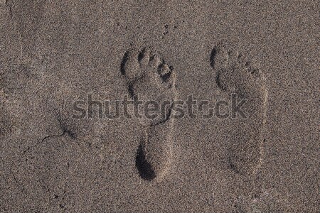 Footprints in sand, sunny day Stock photo © stockyimages