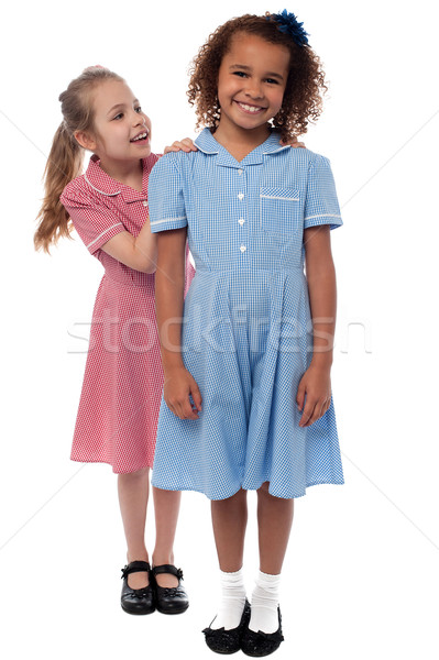 Two joyous elementary school girls Stock photo © stockyimages