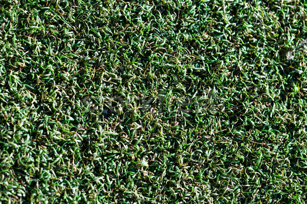 Senza soluzione di continuità erba verde erba artificiale texture erba foglia Foto d'archivio © stockyimages