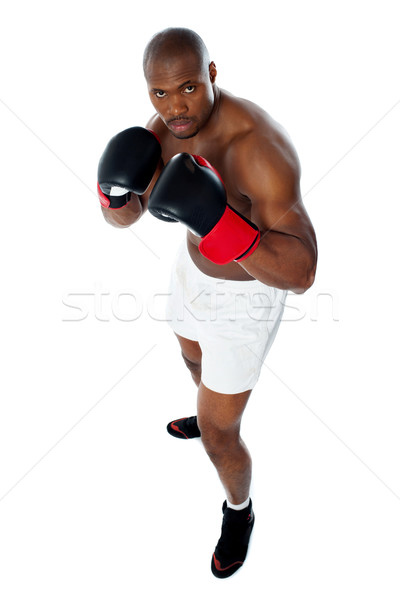 Foto stock: Negro · África · boxeador · listo · lucha · grave