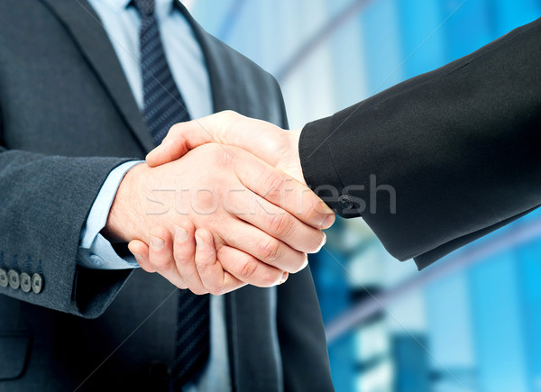 Business handshake, the deal Is finalized. Stock photo © stockyimages
