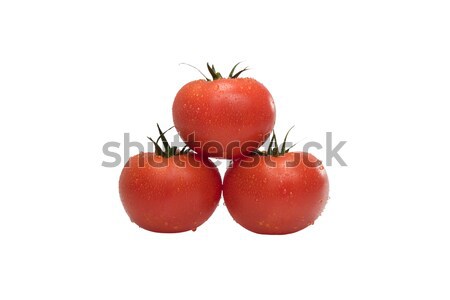Grup olgun domates damla çiy beyaz Stok fotoğraf © stokato
