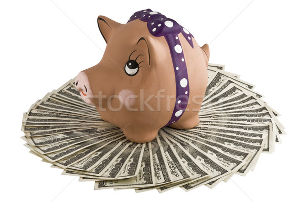 Moneybox - pig on dollars Stock photo © stokato